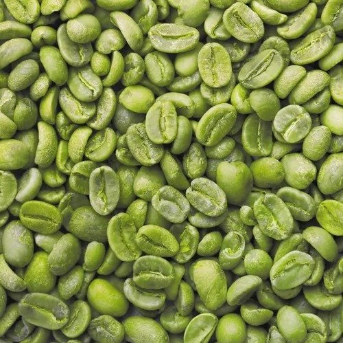 Premium AA Grade Robusta Coffee Beans