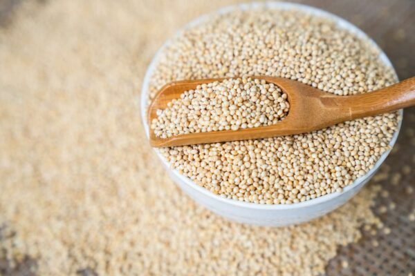 Nuts & Grains