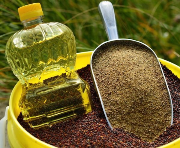 Premium Canola Oil