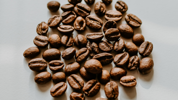 Coffee Bean