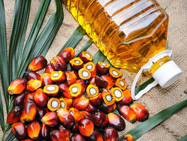 Premium Palm Oil – Bulk Export Supply | High Quality Vegetable Oil for Food Processing, Manufacturing & Global Distribution